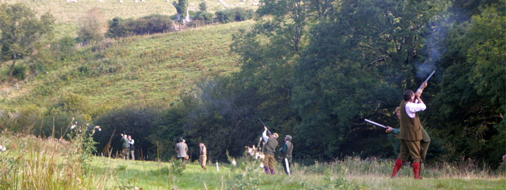Partridge